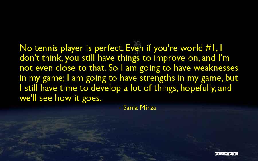 We're Not Perfect But Quotes By Sania Mirza