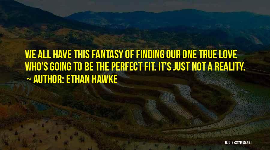We're Not Perfect Love Quotes By Ethan Hawke