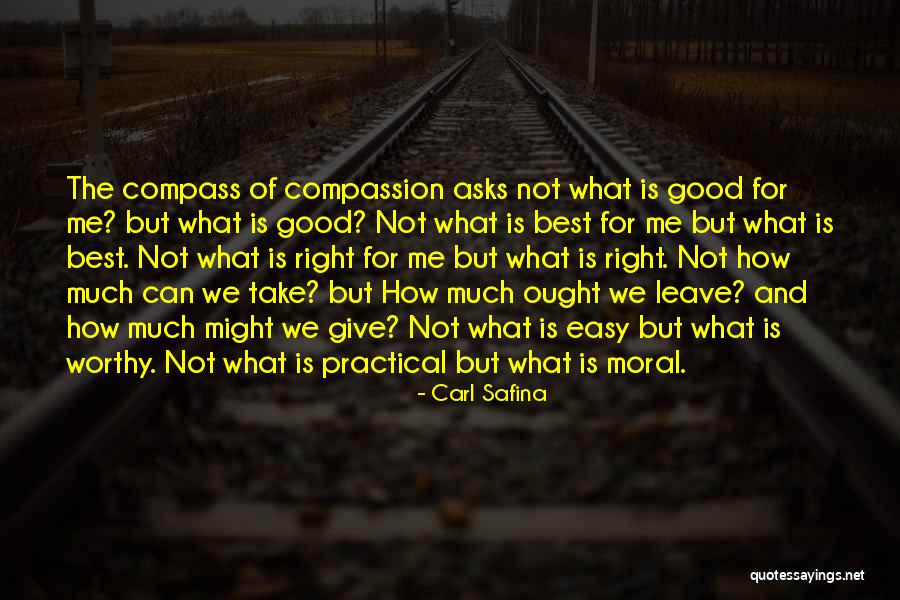 We're Not Worthy Quotes By Carl Safina We're Not Worthy Quotes By Carl Safina