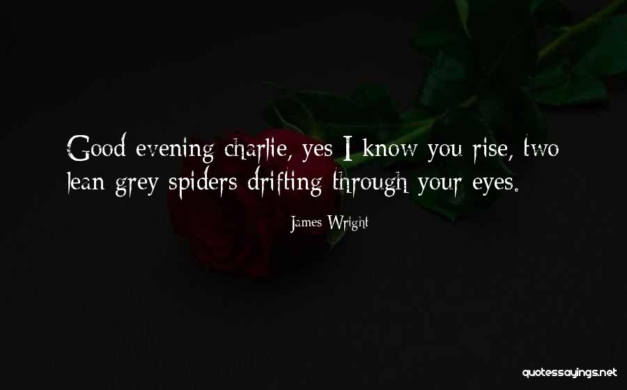 Were Spiders Eyes Quotes By James Wright Were Spiders Eyes Quotes By James Wright