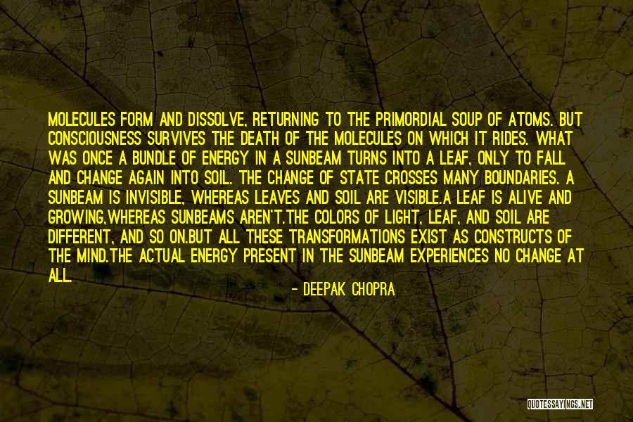 Wererat Painted Quotes By Deepak Chopra Wererat Painted Quotes By Deepak Chopra
