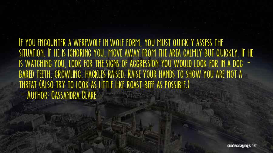 Werewolf Quotes By Cassandra Clare