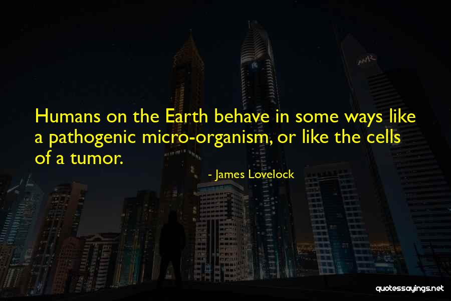 Werfel Park Quotes By James Lovelock Werfel Park Quotes By James Lovelock
