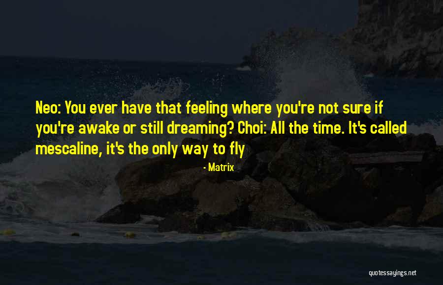 Werfen Company Quotes By Matrix Werfen Company Quotes By Matrix