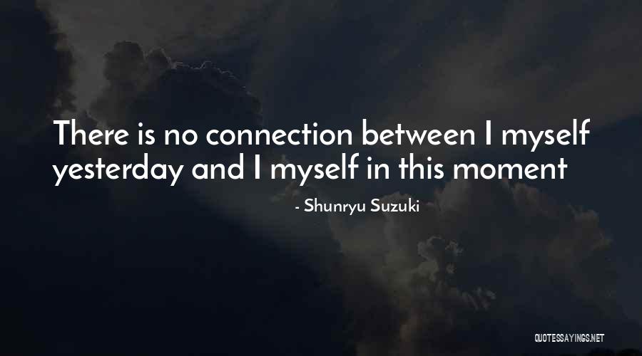 Werfen Company Quotes By Shunryu Suzuki Werfen Company Quotes By Shunryu Suzuki