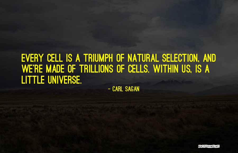 Wergeland Lodge Quotes By Carl Sagan Wergeland Lodge Quotes By Carl Sagan