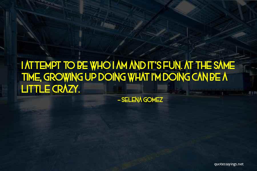 Werkmeisters Christmas Quotes By Selena Gomez
