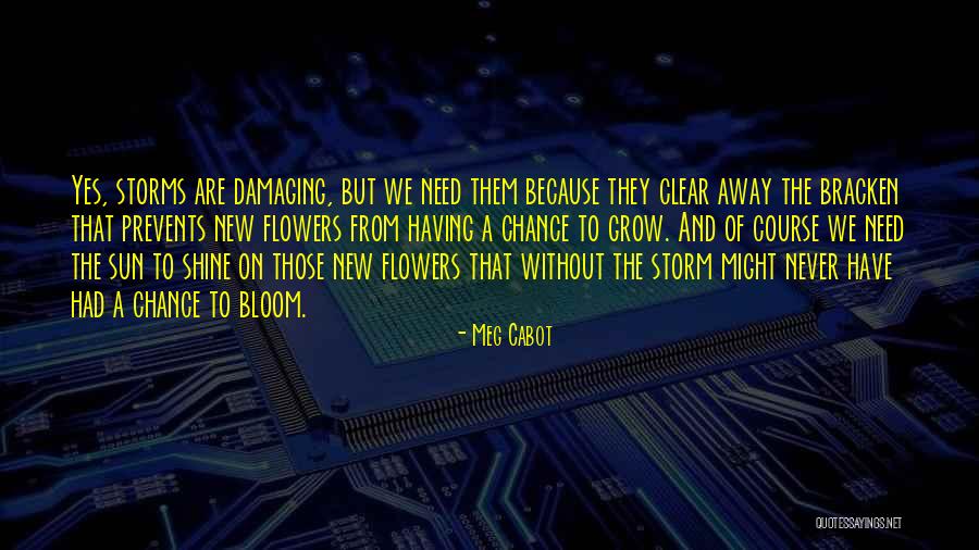 Werld Of Tanks Quotes By Meg Cabot Werld Of Tanks Quotes By Meg Cabot