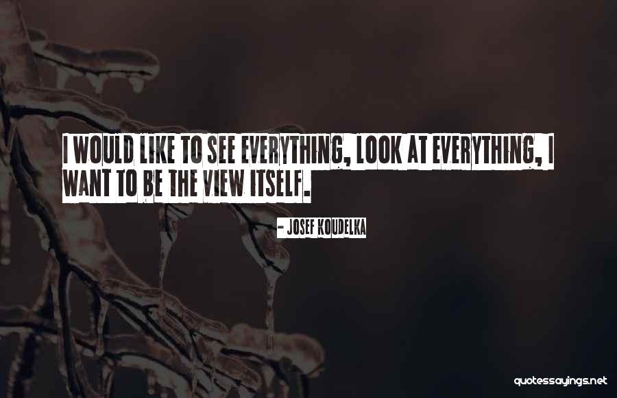 Wernecks Brazilian Quotes By Josef Koudelka