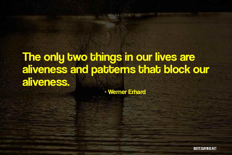 Werner Erhard Quotes 905729