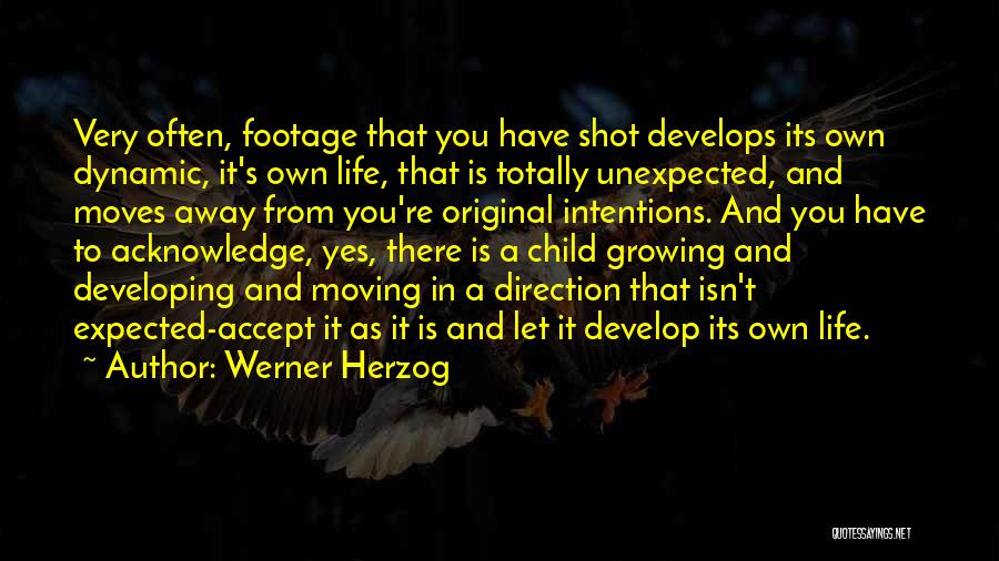 Werner Herzog Quotes 1642840