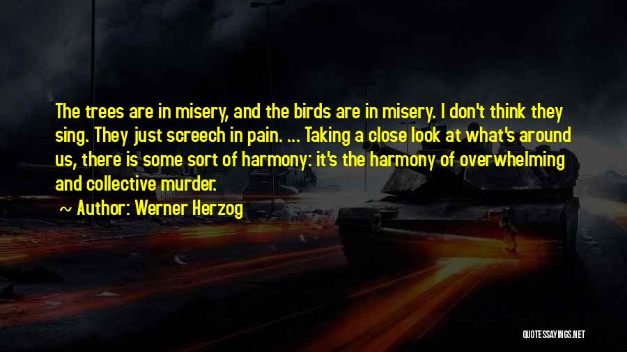 Werner Herzog Quotes 319800