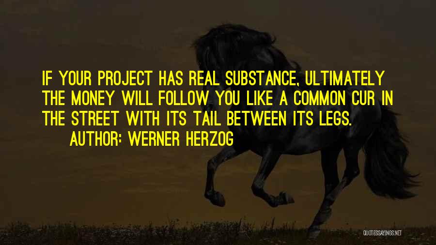 Werner Herzog Quotes 344950