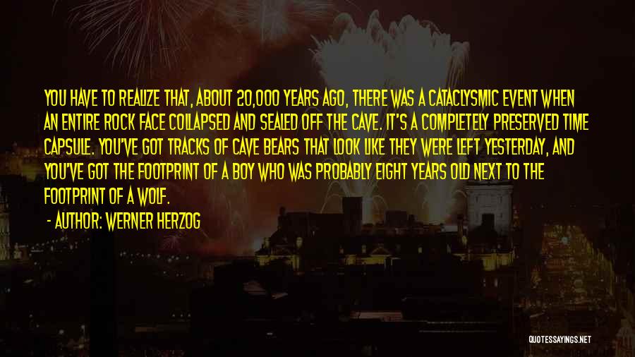 Werner Herzog Quotes 766366