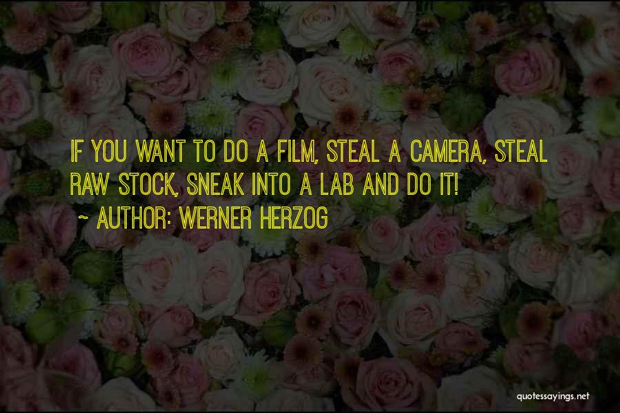 Werner Herzog Quotes 806042