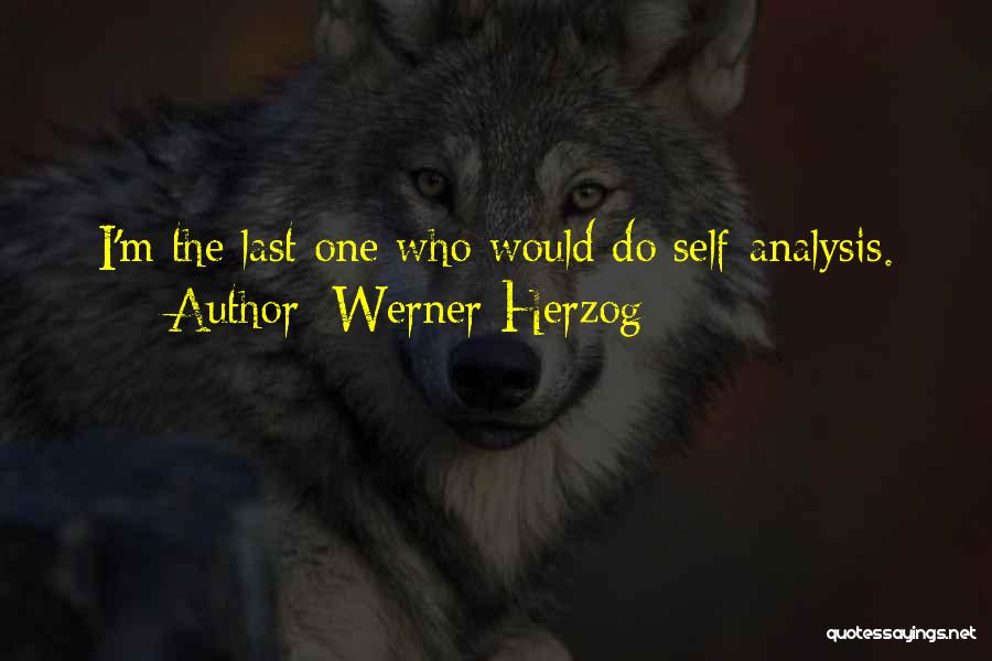 Werner Herzog Quotes 926072