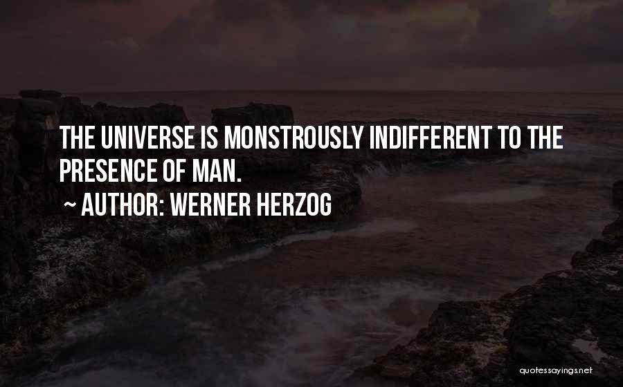 Werner Herzog Quotes 983975