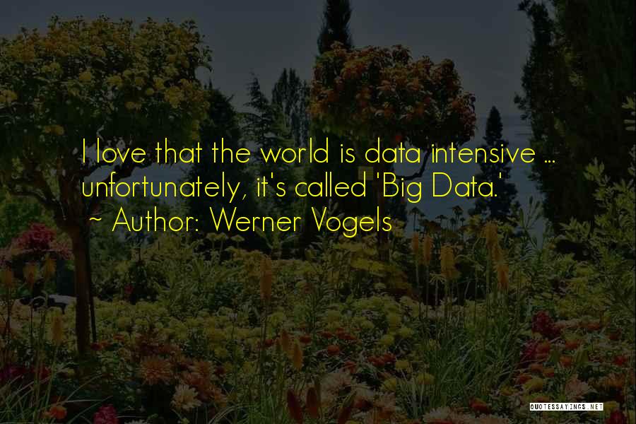 Werner Vogels Quotes 859194