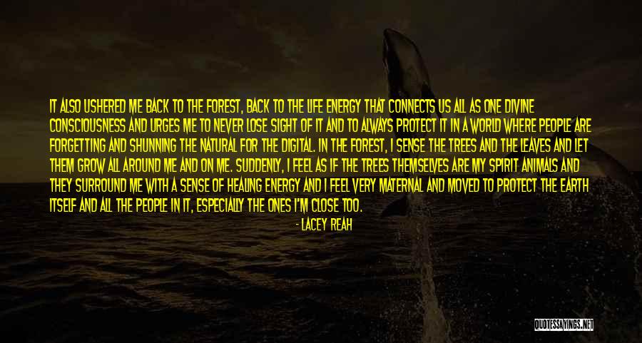 Werpstok Quotes By Lacey Reah Werpstok Quotes By Lacey Reah