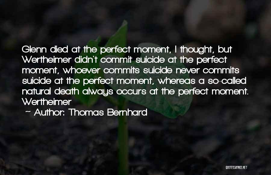 Wertheimer Quotes By Thomas Bernhard