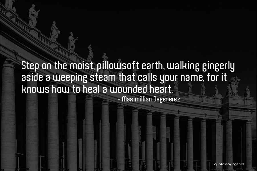 Wertzberger Murray Quotes By Maximillian Degenerez Wertzberger Murray Quotes By Maximillian Degenerez