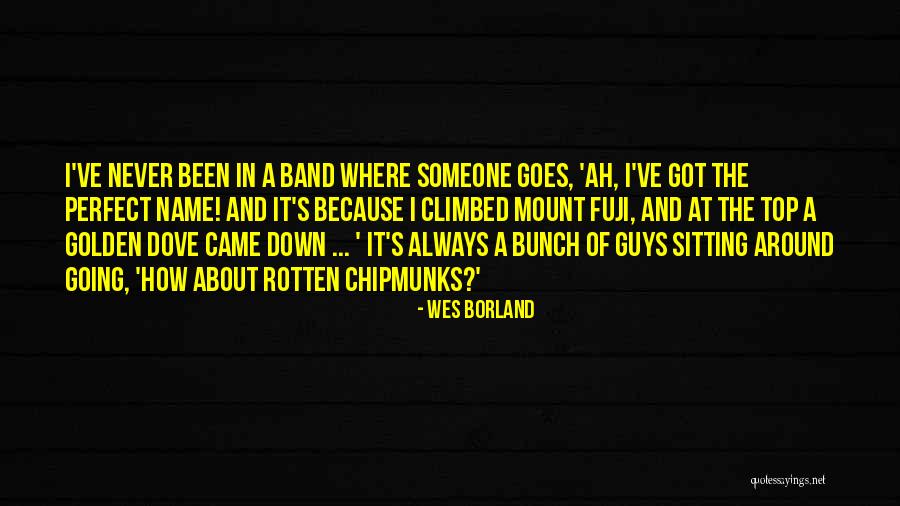 Wes Borland Quotes 359028