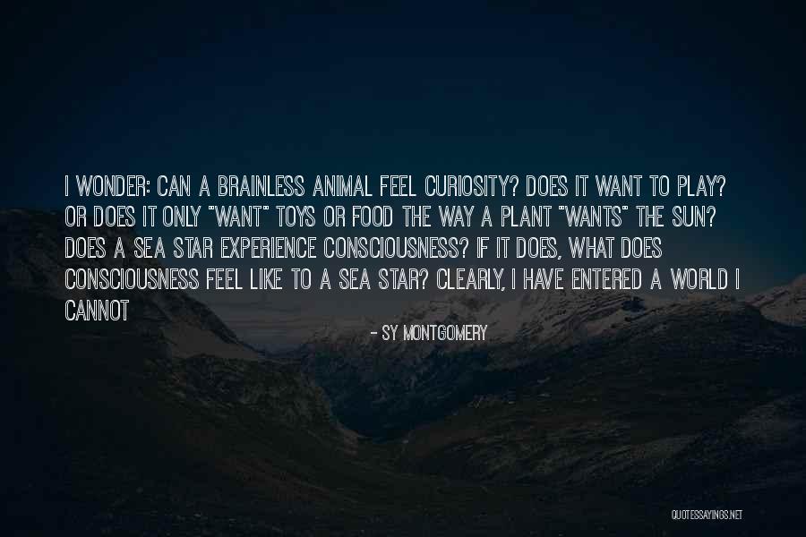 Wescoe Construction Quotes By Sy Montgomery Wescoe Construction Quotes By Sy Montgomery