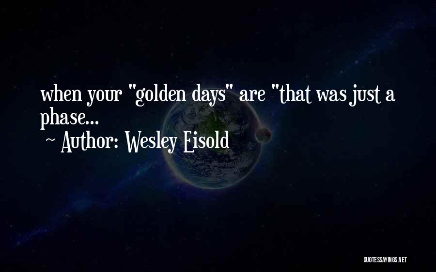 Wesley Eisold Quotes 1657150