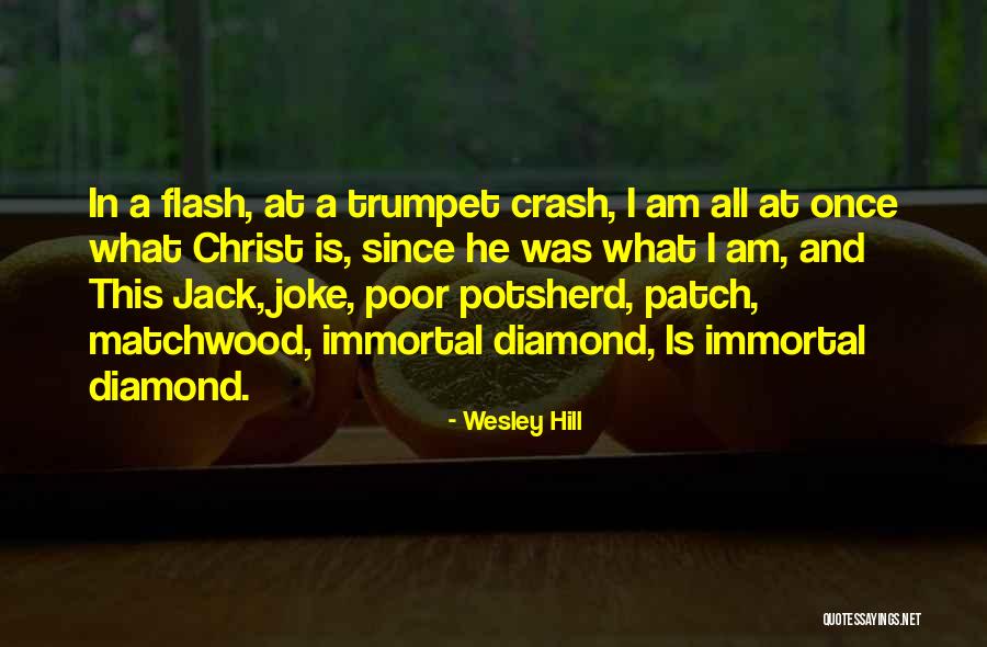 Wesley Hill Quotes 163549