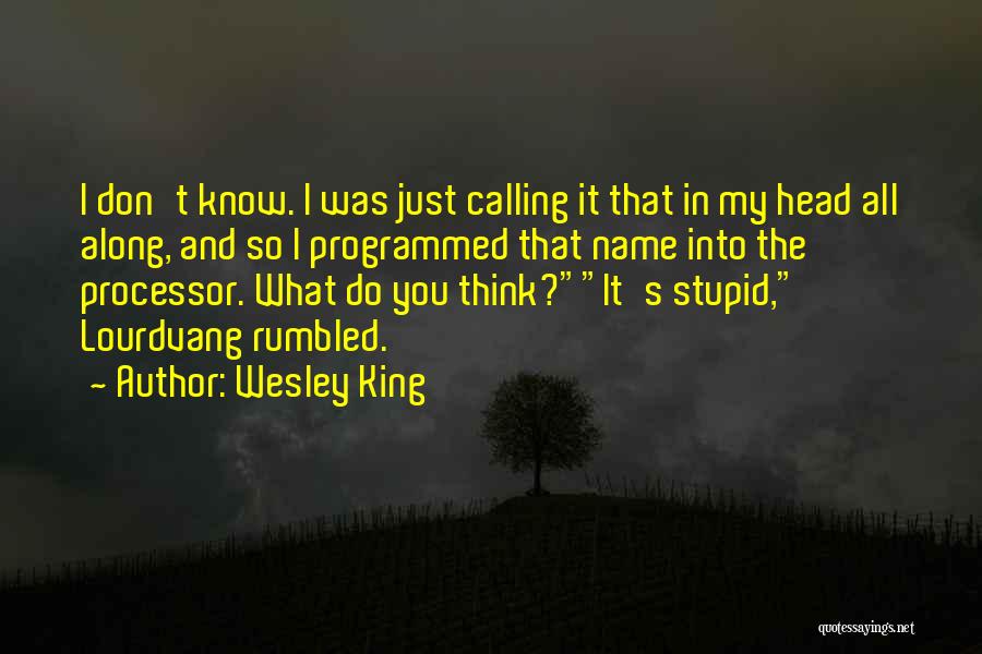 Wesley King Quotes 435387