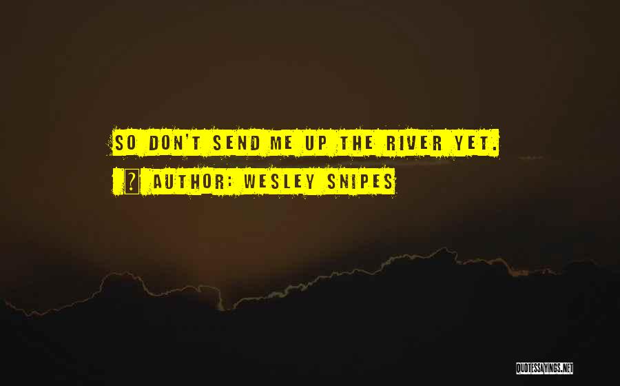 Wesley Snipes Quotes 1571862