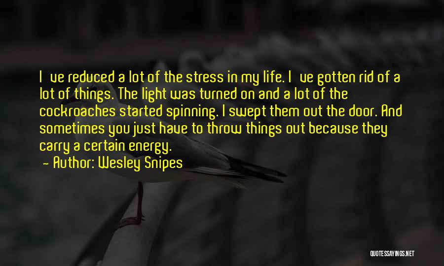 Wesley Snipes Quotes 1722356