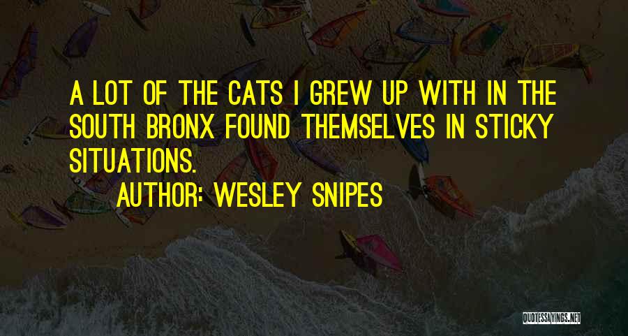 Wesley Snipes Quotes 2109648