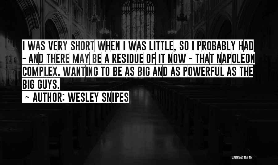 Wesley Snipes Quotes 642339