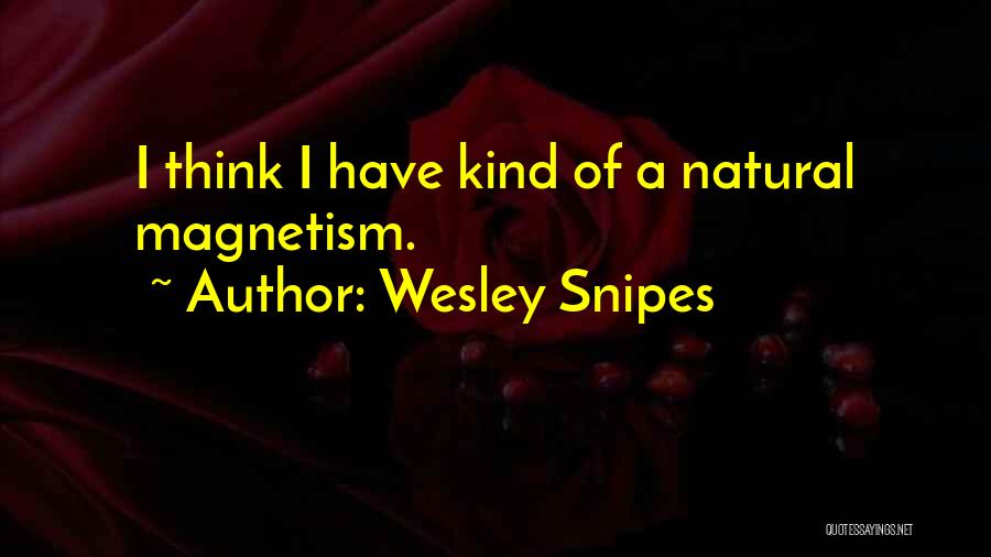 Wesley Snipes Quotes 854142