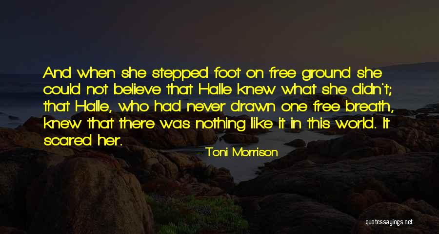 Wesoemoeoo Quotes By Toni Morrison Wesoemoeoo Quotes By Toni Morrison