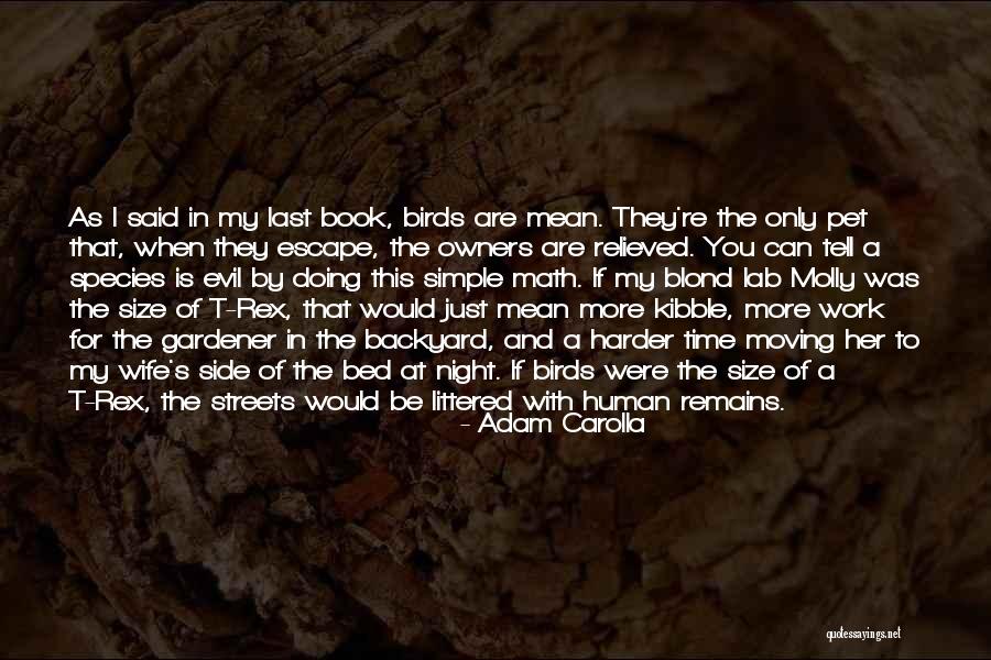 Wessanen Quotes By Adam Carolla Wessanen Quotes By Adam Carolla