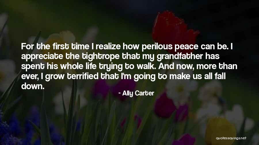 Wesseling Machine Quotes By Ally Carter Wesseling Machine Quotes By Ally Carter