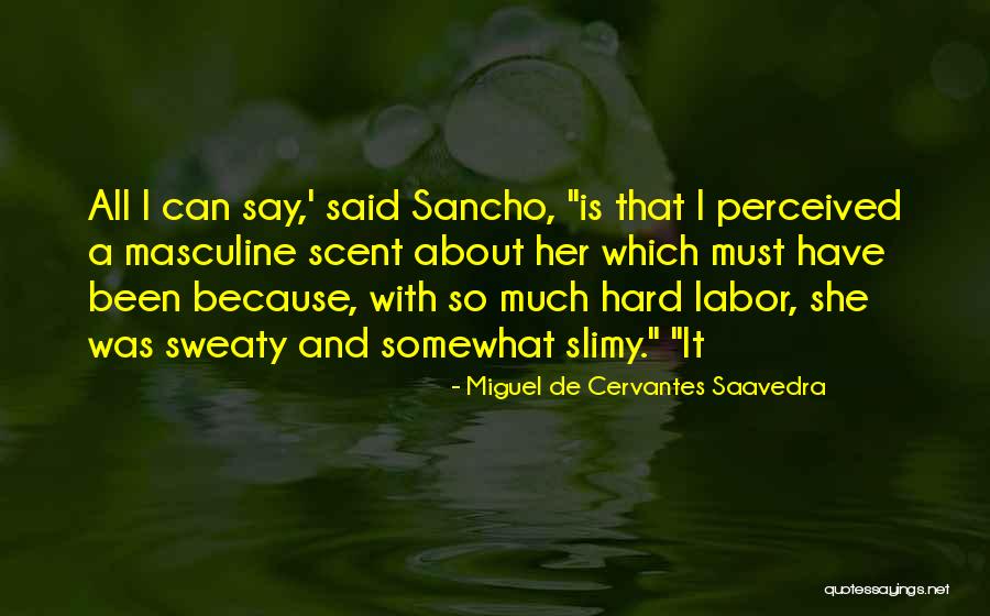 Wesselite Quotes By Miguel De Cervantes Saavedra Wesselite Quotes By Miguel De Cervantes Saavedra