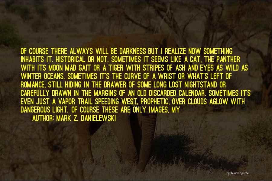 West In The Night Quotes By Mark Z. Danielewski
