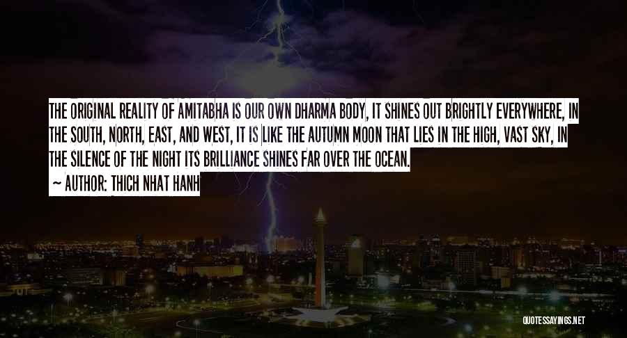 West In The Night Quotes By Thich Nhat Hanh