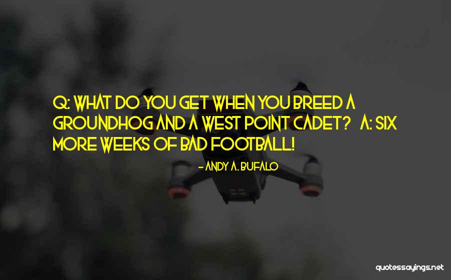 West Point Football Quotes By Andy A. Bufalo