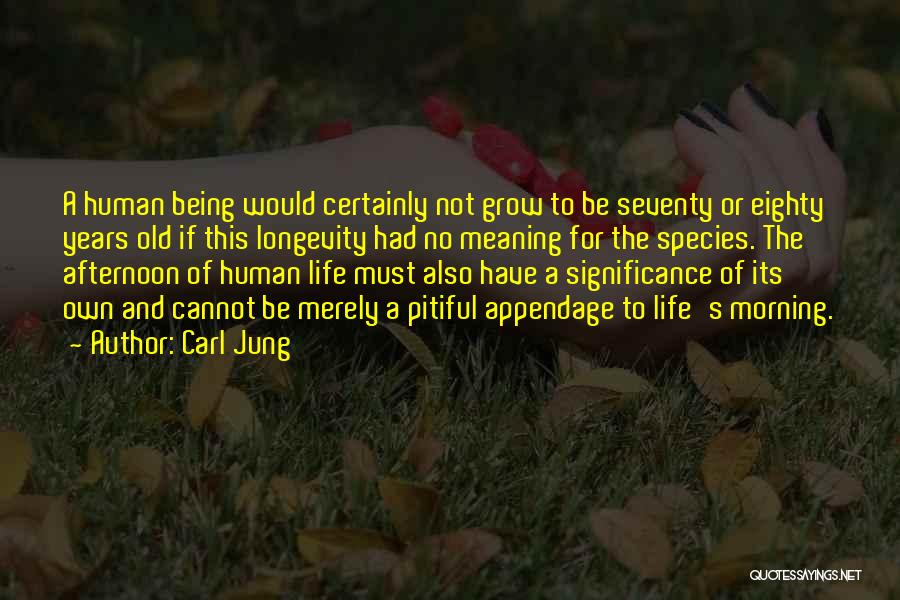 West Wing Shutdown Quotes By Carl Jung