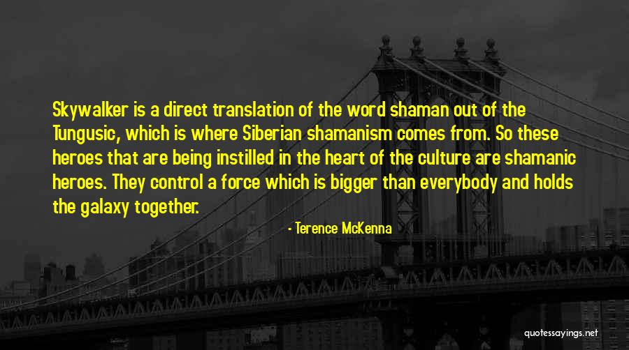 Westergard Quotes By Terence McKenna Westergard Quotes By Terence McKenna
