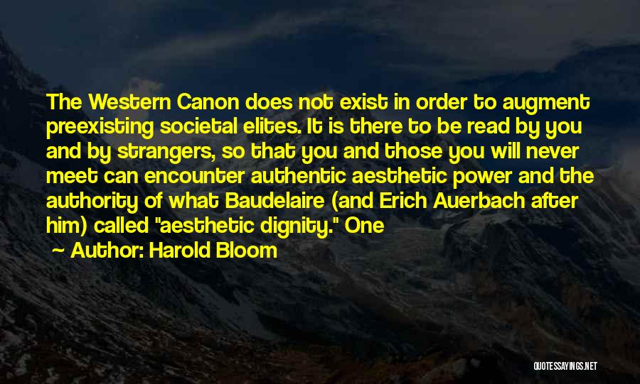 Western Canon Quotes By Harold Bloom