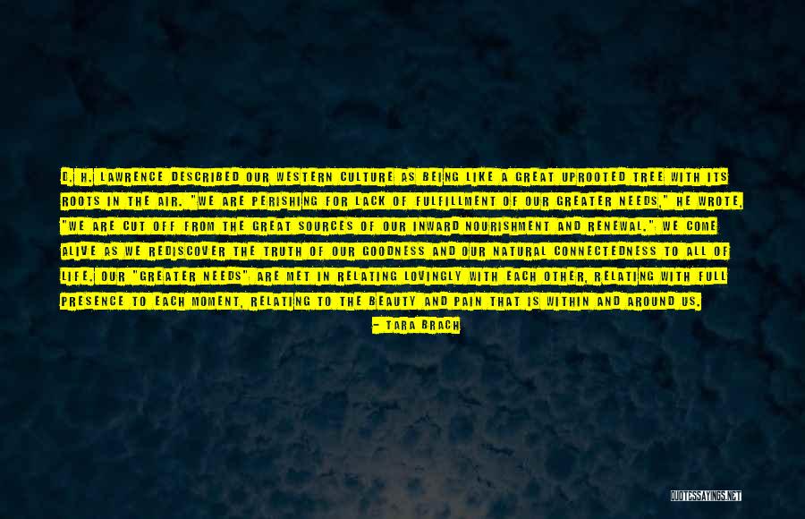 Western Culture Quotes By Tara Brach Western Culture Quotes By Tara Brach