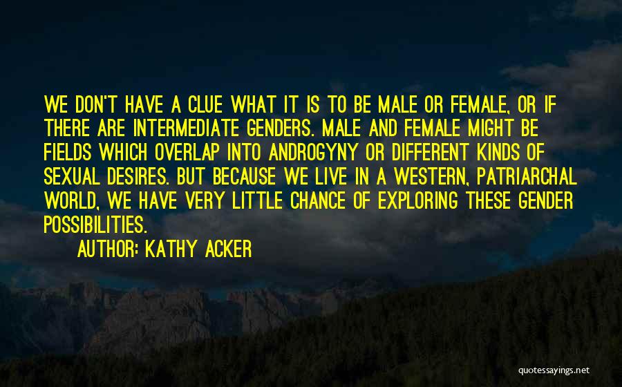 Western World Quotes By Kathy Acker