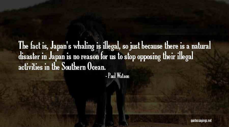 Westphalian Quotes By Paul Watson Westphalian Quotes By Paul Watson