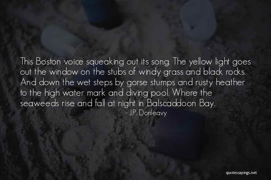 Wet And Windy Quotes By J.P. Donleavy Wet And Windy Quotes By J.P. Donleavy