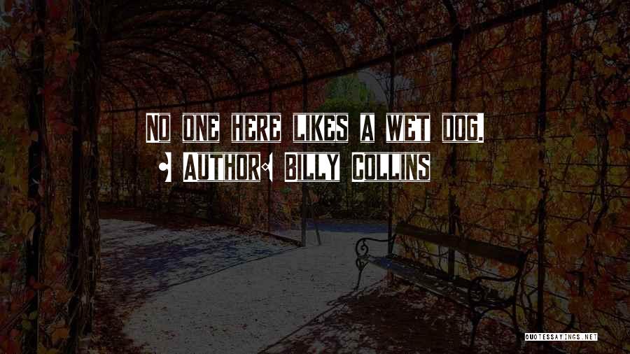 Wet Dog Quotes By Billy Collins